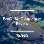 EcoQube Aquarium Review